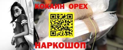гашик Кингисепп