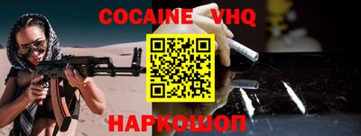гашик Кингисепп