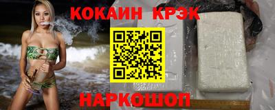 гашик Кингисепп