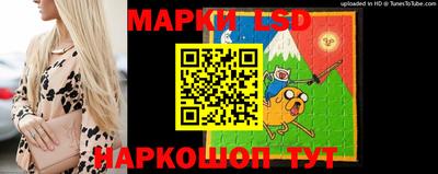 гашик Кингисепп