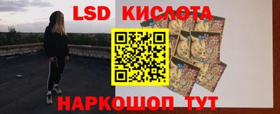 гашик Кингисепп